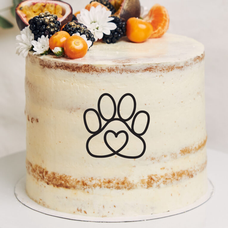 White cake with berries and passionfruits next to a plant behind a white background